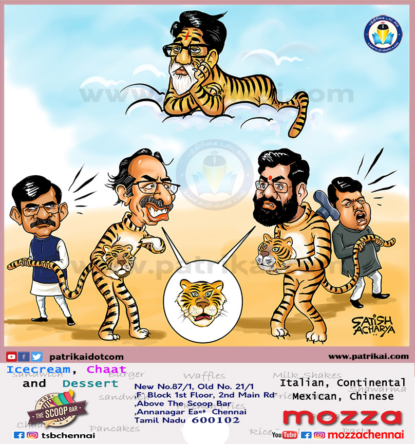 சதிஷ் ஆச்சார்யா கார்ட்டூன்கள்