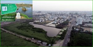 பள்ளிக்கரணை சதுப்பு நிலம்: 36 சர்வே எண்கள் அடையாளம்! கட்டுமான அனுமதி கிடைக்குமா?