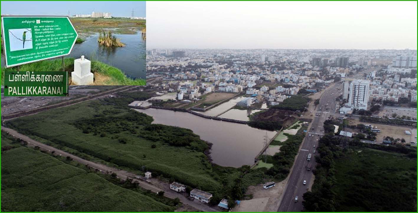 பள்ளிக்கரணை சதுப்பு நிலம்: 36 சர்வே எண்கள் அடையாளம்! கட்டுமான அனுமதி கிடைக்குமா?