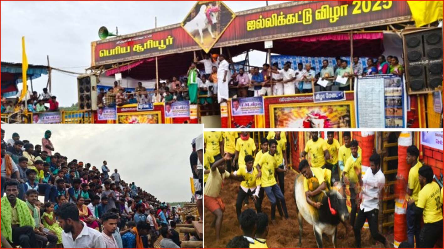திருச்சி சூரியூரில் விறுவிறுப்பாக நடைபெற்று வரும்  ஜல்லிக்கட்டு! ஸ்டேடியம்  அமைக்க அரசாணை வெளியீடு!!