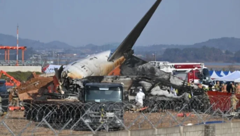 179 பேரை பலி வாங்கிய தென் கொரிய விமானத்தின் இயந்திரங்களில் வாத்துக்களின் எச்சங்கள் கண்டெடுப்பு…