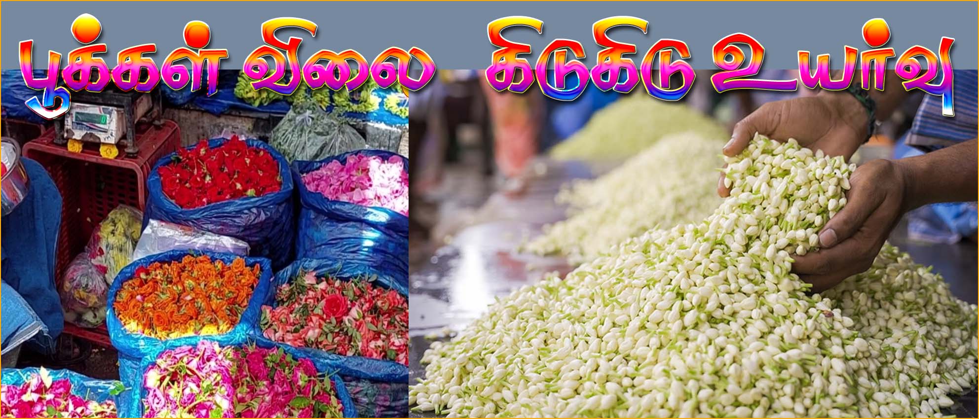 மதுரை மல்லி கிலோ ரூ.5000 விவசாயிகள் / வியாபாரிகள் மகிழ்ச்சி – பொதுமக்கள் சோகம்….