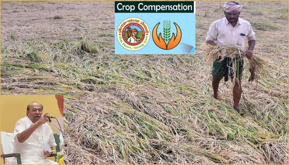 விவசாயிகளுக்கு உரிய இழப்பீட்டை வழங்க வேண்டும்! தமிழ்நாடு அரசுக்கு  ராமதாஸ் கோரிக்கை…