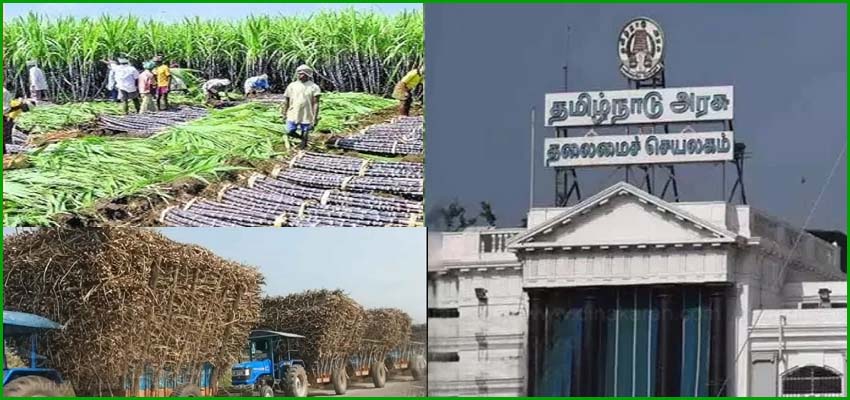 கரும்புக்கான கொள்முதல் விலையாக டன்னுக்கு  ரூ.3,151 நிர்ணயம்! தமிழ்நாடு அரசு