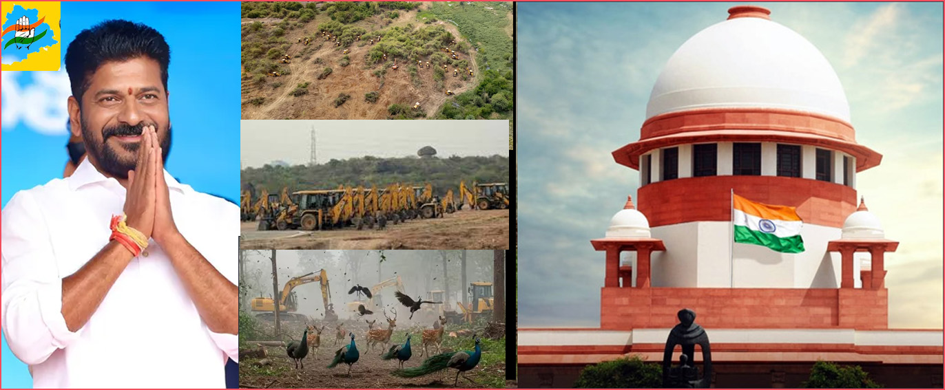 தெலங்கானா கஞ்சா கச்சிபௌலி வனப்பகுதியில் மரங்கள் வெட்ட தடை! மாநில அரசுக்கு உச்சநீதிமன்றம் உத்தரவு