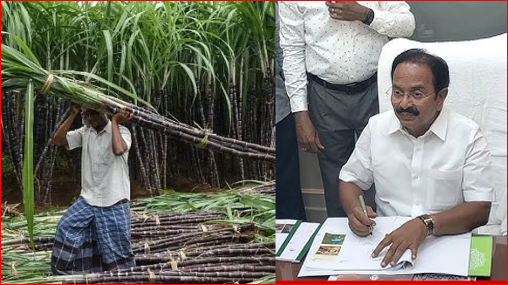 கரும்பு விவசாயிகளுக்கான நிலுவை கிரயத் தொகையான ரூ.97.77 கோடி நிதி விடுவிடுப்பு!  அரசாணை வெளியீடு!