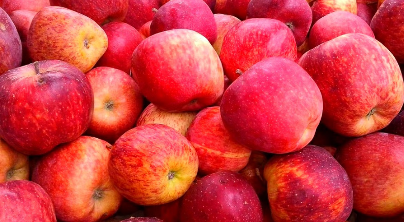 துருக்கியில் இருந்து ஆப்பிள் இறக்குமதி தடை: ஆசாத்பூர் மண்டி முடிவு