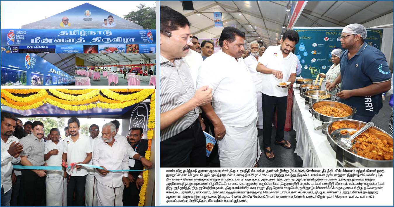 சென்னையில் “தமிழ்நாடு மீன் உணவு திருவிழா 2025” தொடங்கி வைத்தார் துணைமுதல்வர் உதயநிதி…