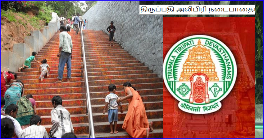 திருப்பதி அலிபிரி நடைபாதையில் வன விலங்குகள் நடமாட்டம்! தேவஸ்தானம் முக்கிய அறிவிப்பு…