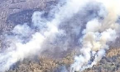 வனத்துறையினரை திணற வைக்கும் மேற்கு தொடர்ச்சி மலை காட்டுத்தீ