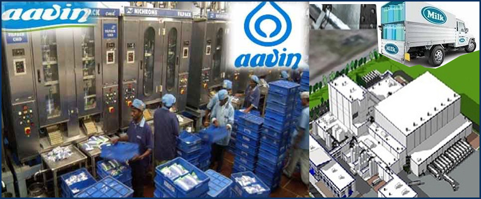 சென்னை மாதவரம் மற்றும் அச்சரபாக்கத்தில் மேலும் 2 ஆவின் பால் உற்பத்தி மையம்! தமிழ்நாடு அரசு தகவல்…