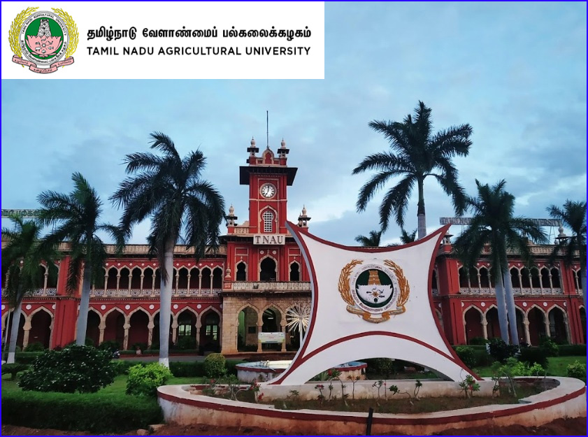 கோவை வேளாண் பல்கலைக்கழக தரவரிசை பட்டியல் 24-ந்தேதி வெளியாகிறது; அன்றே கலந்தாய்வு…