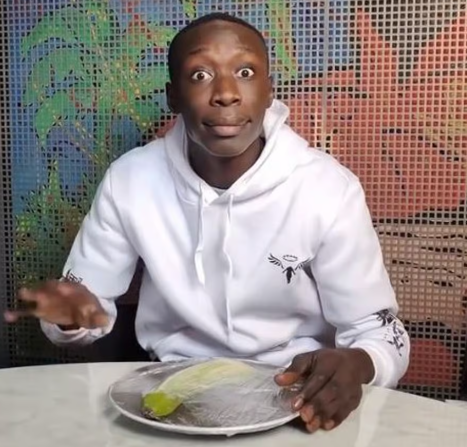 டிக் டாக் பிரபலம் கபீப் லாம் அமெரிக்காவில் இருந்து வெளியேற்றம்…