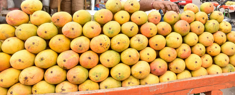 மாம்பழம் குவிண்டாலுக்கு ₹1,616… கர்நாடக மாம்பழ விவசாயிகளுக்கு சந்தை தலையீட்டுத் திட்டத்தின் கீழ் மத்திய அரசு ஆதரவு