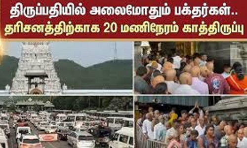 20 மணி நேர காத்திருப்புக்கு பின்பே திருப்பதி கோவிலில் தரிசனம்