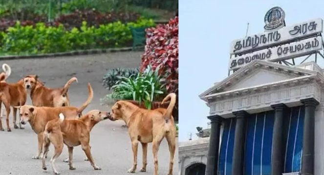 தமிழ்நாட்டில் அதிகரித்து வரும் தெரு நாய் தொல்லையை கட்டுப்படுத்த நோய்வாய்ப்பட்ட நாய்களை கருணைக்கொலை செய்ய அனுமதி