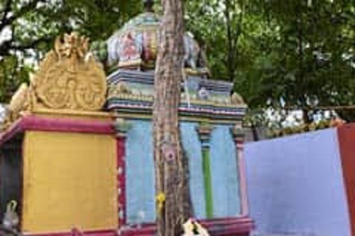 தேவிகருமாரியம்மன் திருக்கோயில், வ.உ.சி.வளாகம், கிரே டவுன், கோயம்புத்தூர்.