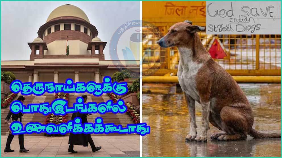 தெருநாய் விவகாரம்: பொது இடங்களில் நாய்களுக்கு உணவளிக்க தடை உள்பட முக்கிய உத்தரவுகள்…