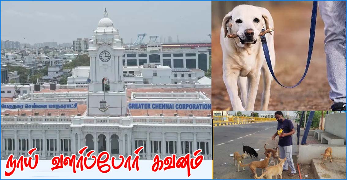 வளர்ப்பு நாய்கள் வைத்திருப்பவர்களுக்கு பல்வேறு கட்டுப்பாடுகள்! சென்னை மாநகராட்சி எச்சரிக்கை