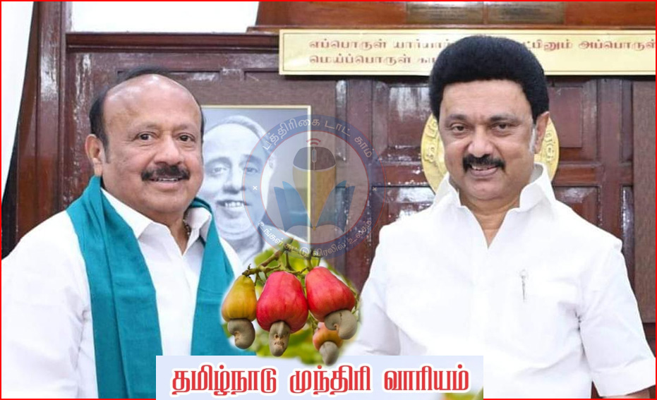 தமிழ்நாடு முந்திரி வாரியம் உருவாக்கம்! தமிழ்நாடு அரசு அறிவிப்பு…