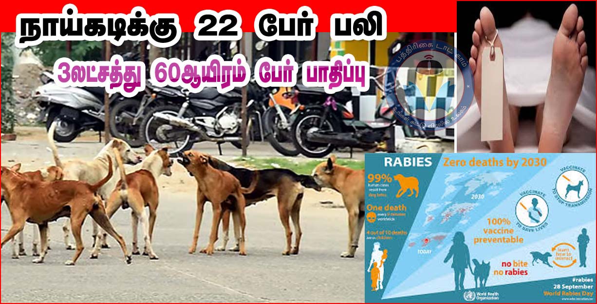 தமிழ்நாட்டில் நாய்கடியால் 3லட்சத்து 60ஆயிரம் பேர் பாதிப்பு – 22 பேர் பலி!