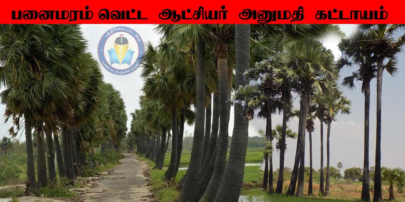 பனை மரத்தை வெட்ட ஆட்சியர் அனுமதி கட்டாயம்!  தமிழ்நாடு அரசு அரசாணை வெளியீடு…
