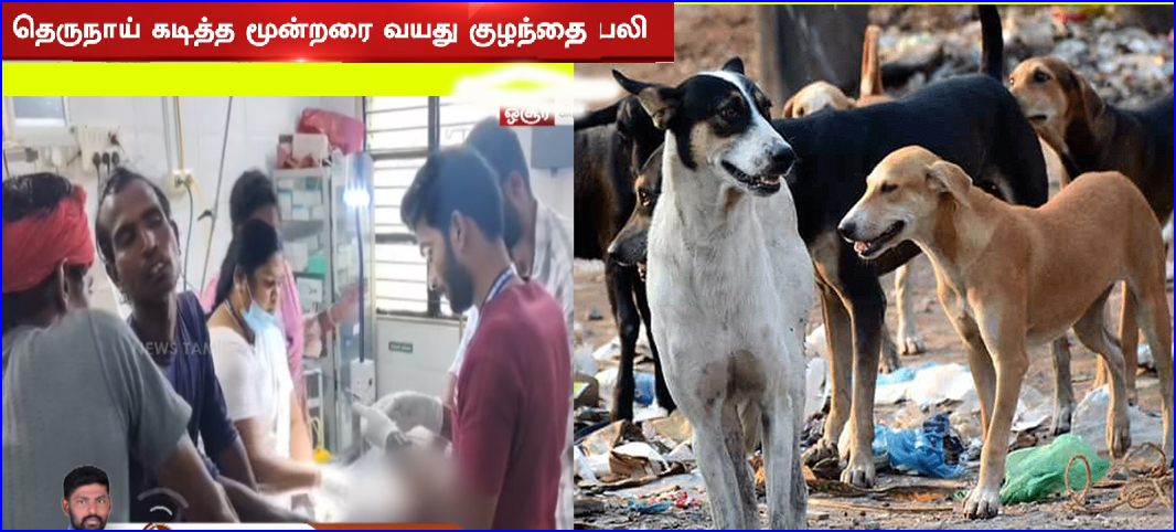 ஓசூர் அருகே பரிதாபம்: தெருநாய் கடித்து 3 வயது வடமாநில குழந்தை உயிரிழப்பு!