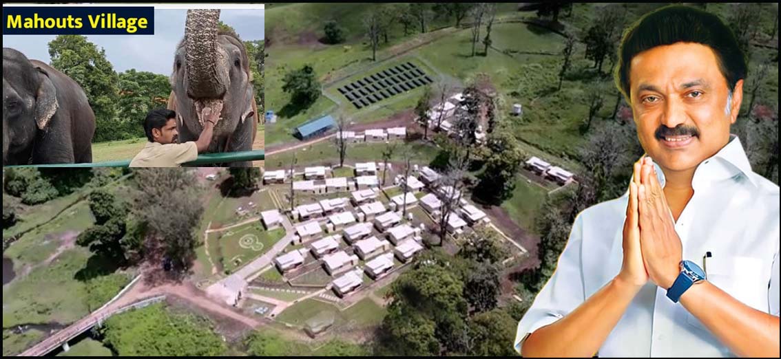 ஆனைமலையில்  நாட்டின் 2ஆவது யானை பாகன் கிராமத்தை திறந்து வைத்தார் முதல்வர் மு.க.ஸ்டாலின்