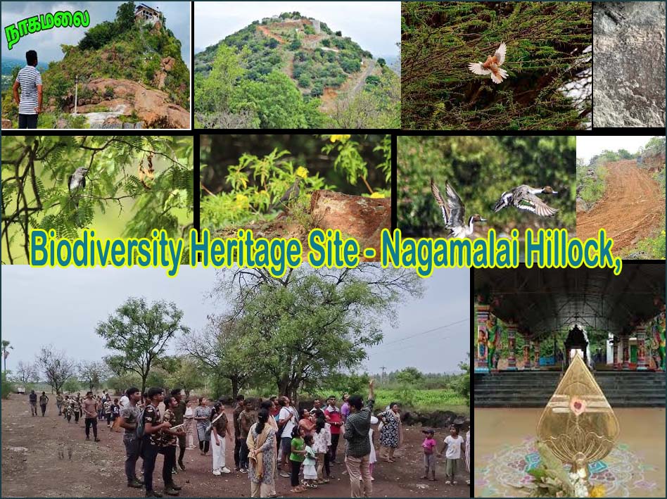 தமிழ்நாட்டின் 4வது பல்லுயிர் பராம்பரிய தலமாக நாகமலைக் குன்று காடுகள் அறிவிப்பு! தமிழ்நாடு அரசு