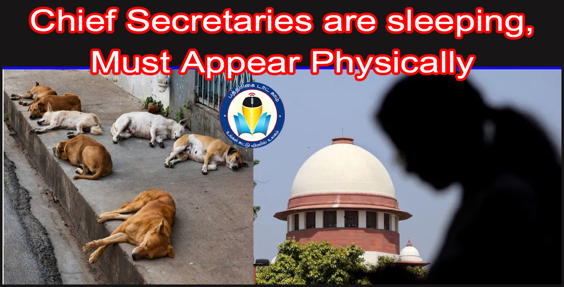 எங்கள் உத்தரவுமீது நடவடிக்கை எடுக்காமல் தூங்குகிறார்கள்! தெருநாய்கள் வழக்கில் உச்சநீதிமன்றம் காட்டம்