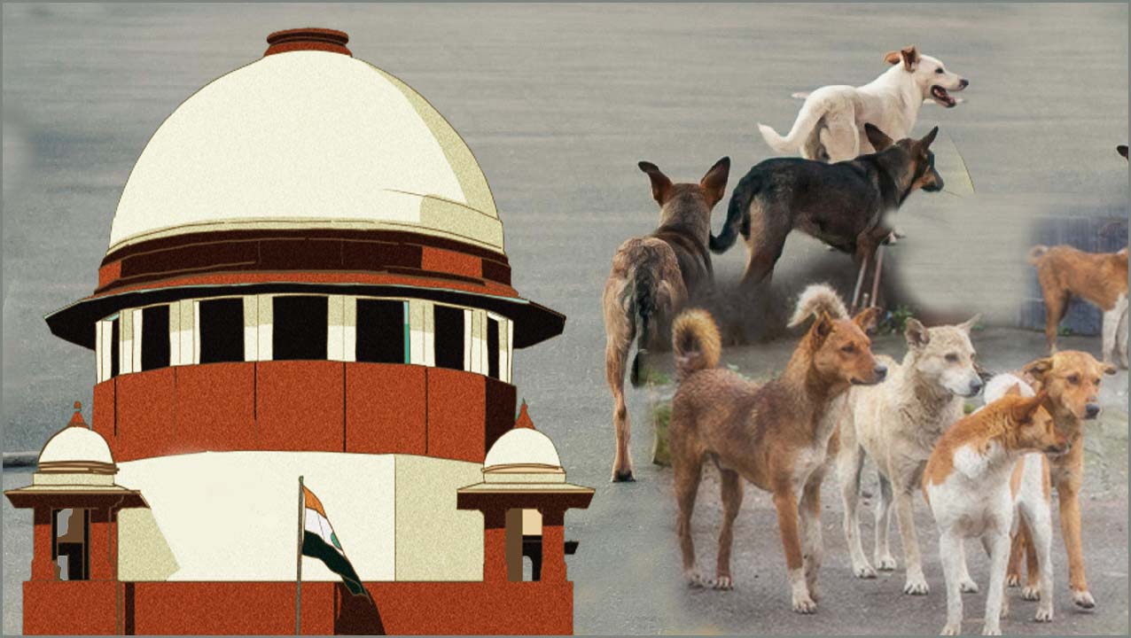 தெருநாய்கள் விவகாரம்: பிரமான பத்திரம் தாக்கல் செய்யாத தமிழ்நாடு உள்பட 25 மாநில தலைமைச்செயலாளர்கள் ஆஜராக உச்சநீதிமன்றம் உத்தரவு