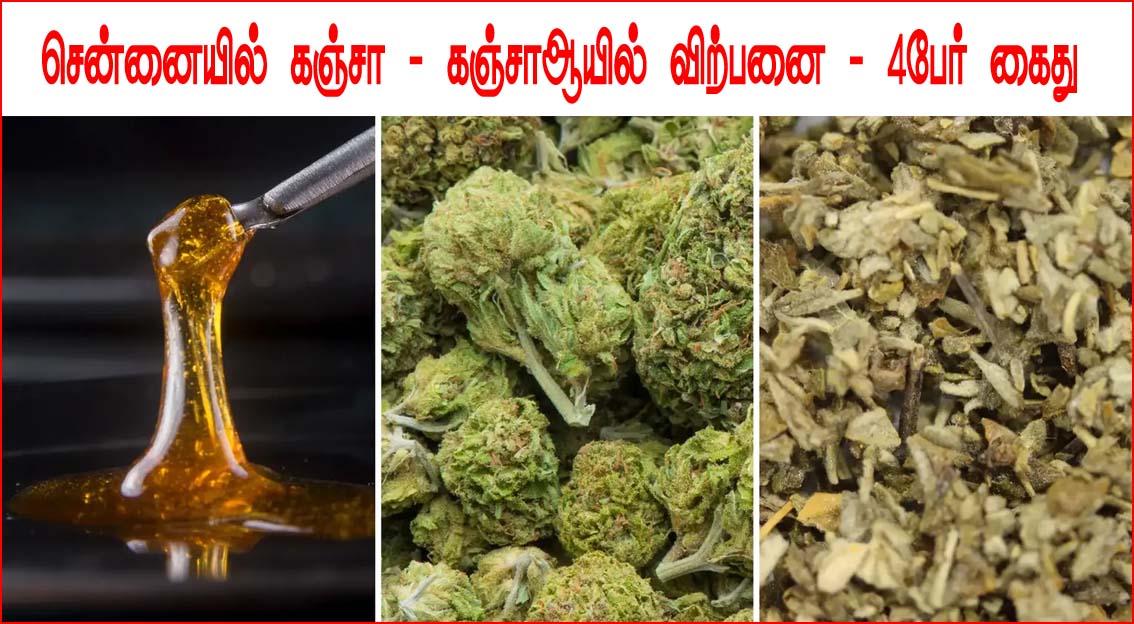 சூளைமேடு பகுதியில் கஞ்சா, கஞ்சா ஆயில் விற்பனை செய்து வந்த யுடியூபர், மென்பொறியாளர் உள்பட  4 பேர் கைது