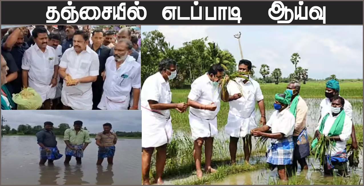 தஞ்சையில் நெல் நேரடி  கொள்முதல் நிலையம், மழையால் பயிர் பாதிப்பு குறித்து எதிர்க்கட்சி தலைவர் எடப்பாடி நேரடி ஆய்வு… விவசாயிகள் வேதனை