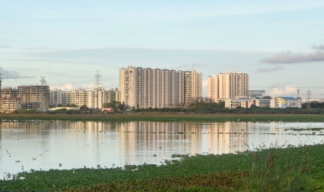 பள்ளிக்கரணை ஈரநிலப் பகுதியில் 1,250 அடுக்குமாடி குடியிருப்புகளைக் கட்ட ரியல் எஸ்டேட் நிறுவனத்திற்கு அனுமதி