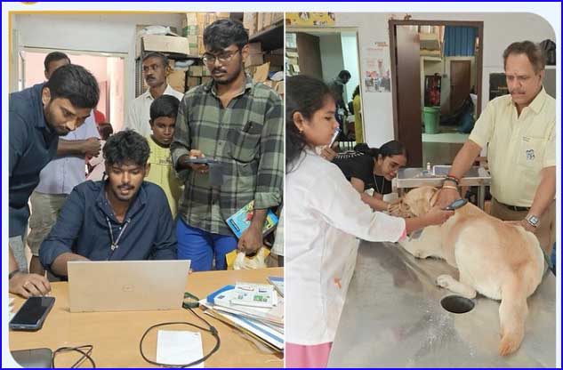சென்னையில் 7 இடங்களில் நடந்த சிறப்பு முகாம்களில் 767 நாய்களுக்கு தடுப்பூசி ‘மைக்ரோ சிப்’ பொருத்தம்! மாநகராட்சி தகவல்