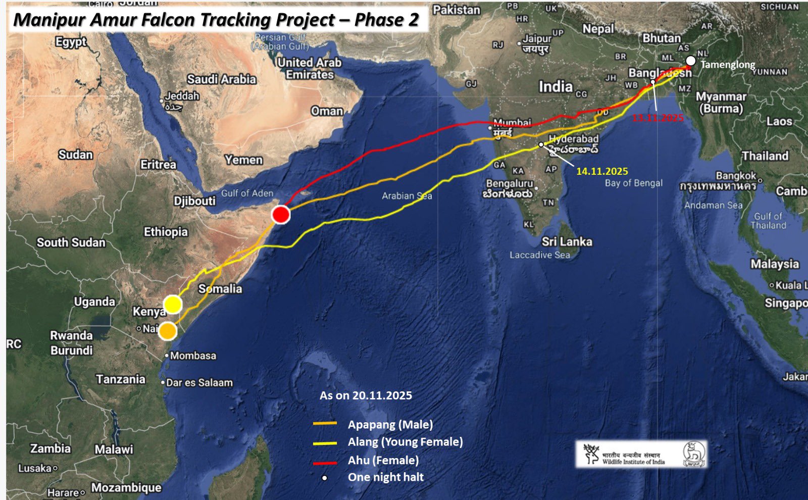 ஆறே நாளில் 6000 கி. மீ. – கண்டங்களைத் தாண்டி எல்லையை விரிவுபடுத்திய அமூர்