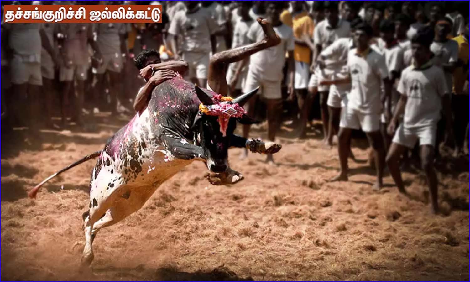 2026ம் ஆண்டின் முதல் ஜல்லிக்கட்டு போட்டி 3ந்தேதி தொடக்கம்! தமிழ்நாடு அரசு