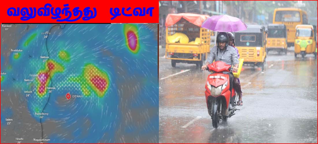 வலுவிழந்தது டிட்வா: சென்னையில் தொடரும் மழை – புதுச்சேரியில் பள்ளிகளுக்கு விடுமுறை…
