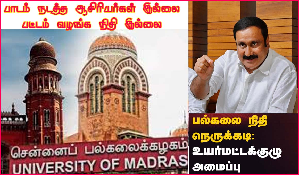 ஆசிரியர்கள் பற்றாக்குறையால் உயர்கல்வி சீரழிவு: தமிழக பல்கலைக்கழகங்களின் இன்றைய நிலைக்கு தி.மு.க. அரசுதான் பொறுப்பு