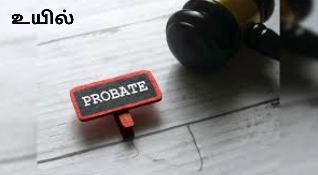 உயிலுக்கு சான்று பெறுவது கட்டாயமில்லை… விருப்பப்பட்டவர்கள் வாங்கிக்கொள்ளலாம்…