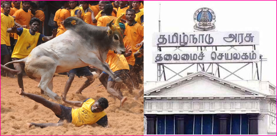 தமிழ்நாட்டில் ஜல்லிக்கட்டு போட்டி  விதிமுறைகளில் சில தளர்வுகள்! தமிழ்நாடு அரசு அறிவிப்பு