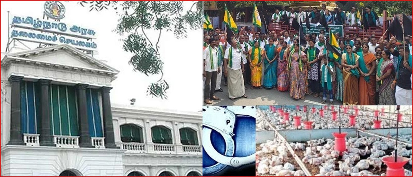 கறிக்கோழி வளர்ப்புப் பிரச்சினைக்கு தீர்வு காண தொழில்நுட்பக் குழு அமைப்பு! தமிழ்நாடு அரசு