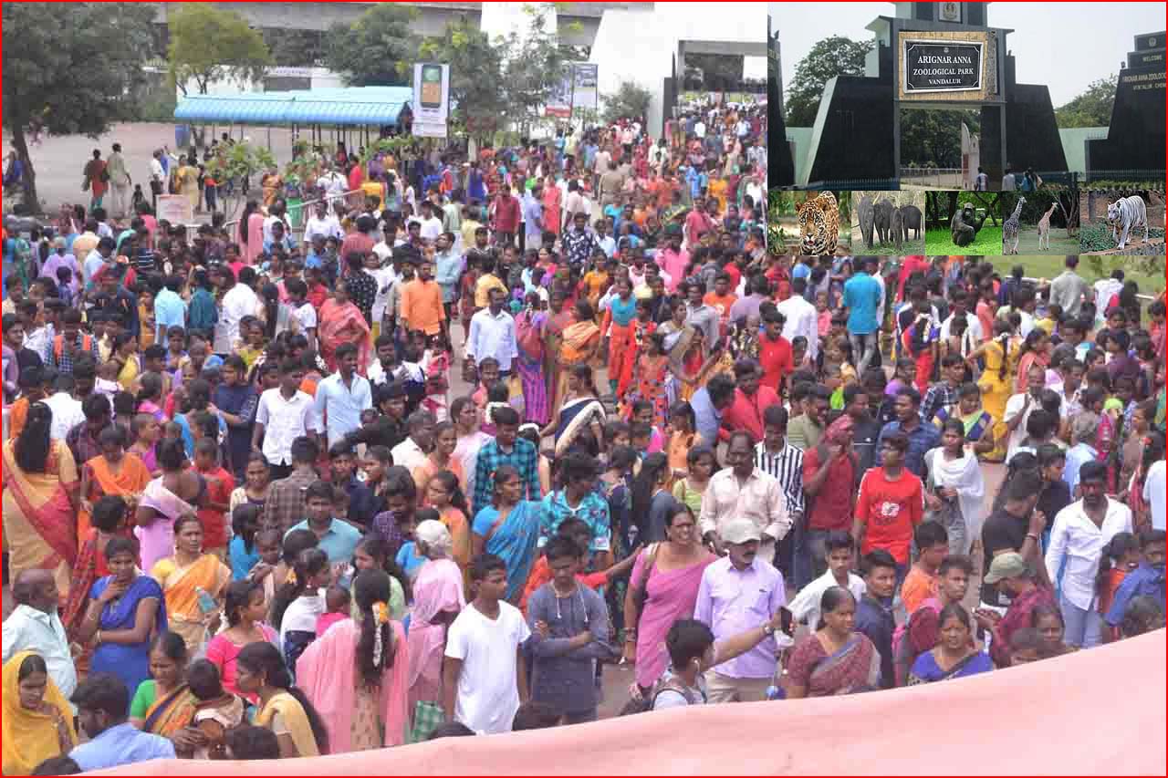 வண்டலூர் பூங்காவுக்கு கடந்த 18 நாளில் 1லட்சத்து 20ஆயிரம் பேர் வருகை! பூங்கா நிர்வாகம் தகவல்…