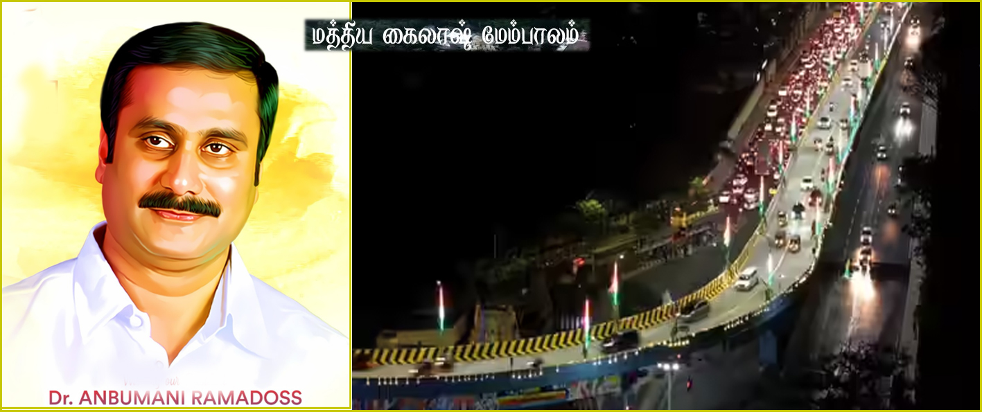 மத்திய கைலாஷில் அமைக்கப்பட்டிருப்பது L வடிவ மேம்பாலமா அல்லது W பள்ள மேம்பாலமா? அன்புமணி கேள்வி