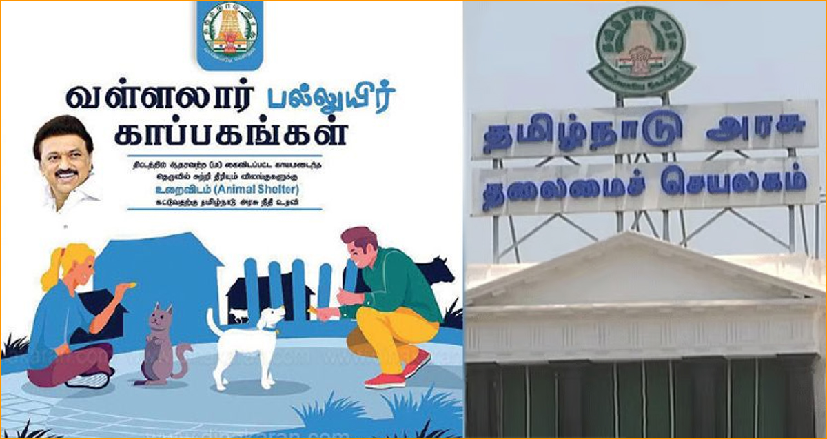 விலங்குகள் நல காப்பகங்களை பராமரிக்க தொண்டு நிறுவனங்களுக்கு அழைப்பு! தமிழ்நாடு அரசு