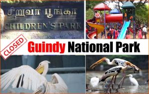 அடுத்தடுத்து பறவைகள் சாவு எதிரொலி:  சென்னை கிண்டி சிறுவர் பூங்கா மூடல்!
