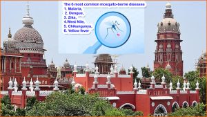 தமிழகம் முழு​வதும் கொசு உற்​பத்​தி​யைத் தடுக்க எடுக்கப்பட்ட நடவடிக்கை என்? அறிக்கை கேட்கிறது உயர்நீதிமன்றம்…