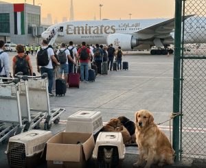 போர் அவசரம்: செல்லப்பிராணிகளுடன் இந்தியா திரும்ப அனுமதி