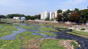 அடையாறு ஆற்றில் காணாமல் போன ரிசர்வ் வங்கி ஊழியரைத் தேடும் பணி தொடர்கிறது…