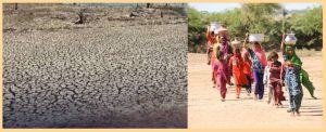 எல் நினோ வலுப்பெறும்: உலகம் முழுவதும் கடும் வெயில், மழை, வெள்ளம் ஏற்படும் அபாயம் – ஐ.நா. எச்சரிக்கை